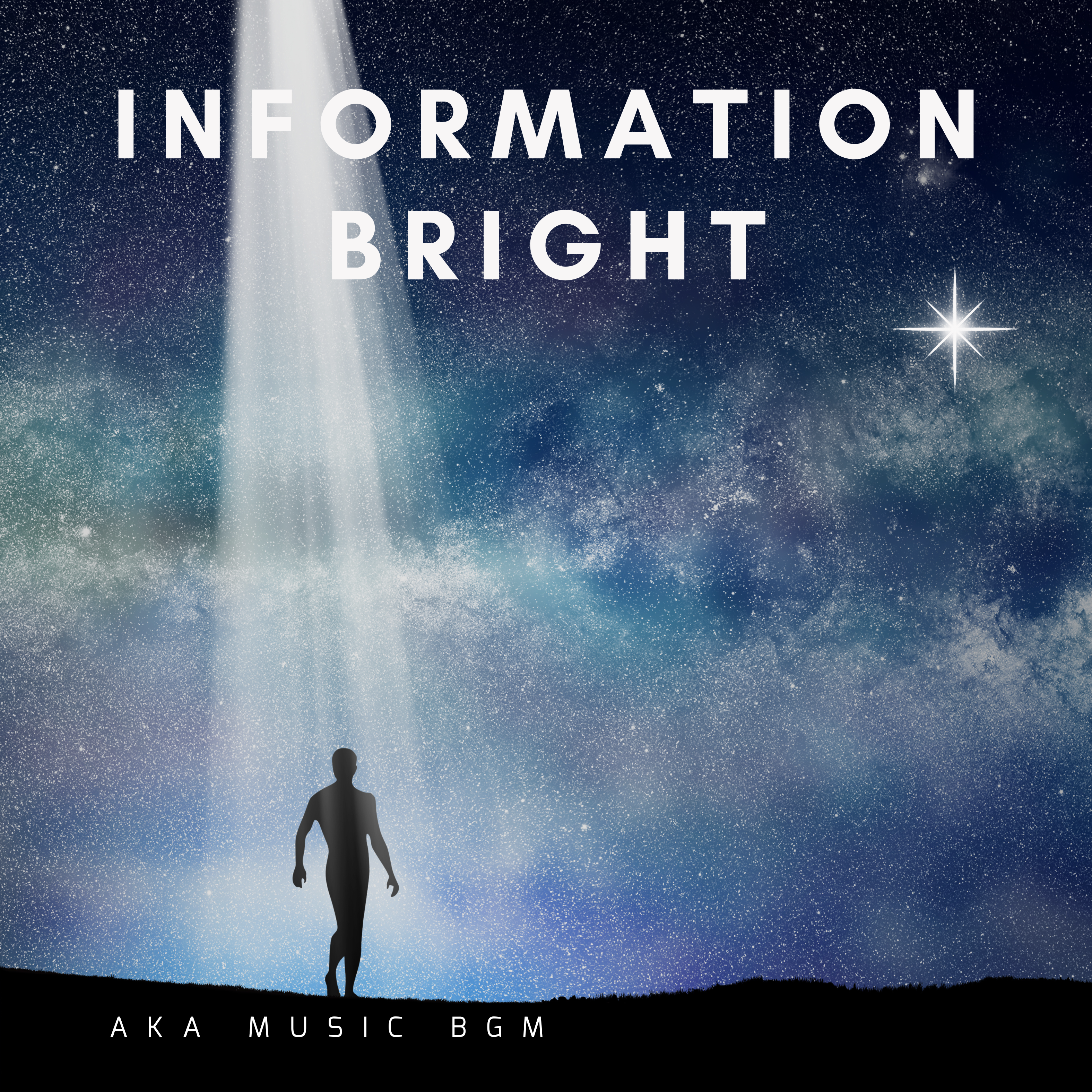 INFORMATION LIGHT cover